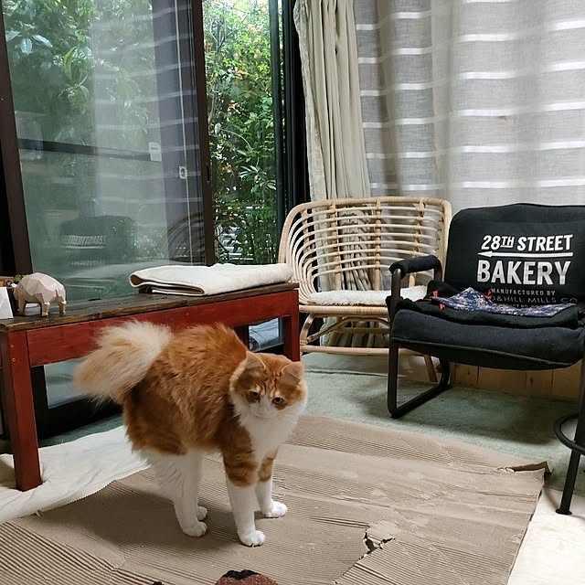 mori_6_12さんの実例写真