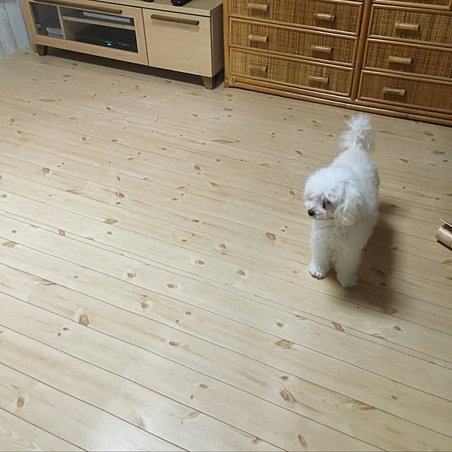 viviさんの実例写真