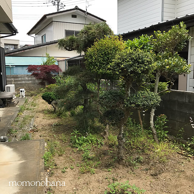 momonohanaさんの実例写真