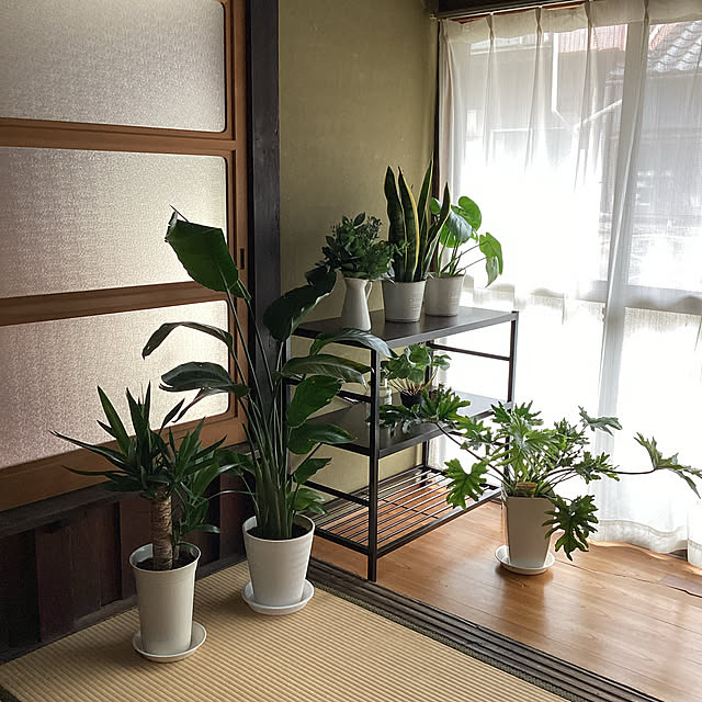 conatuさんの実例写真