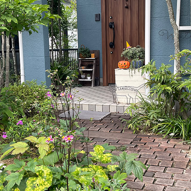 nobikoさんの部屋