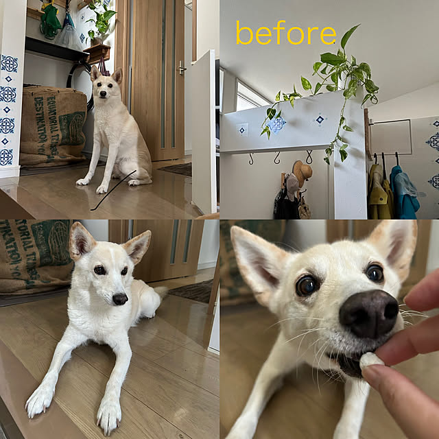 tanboさんの部屋