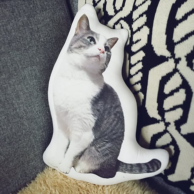 sawayさんの実例写真
