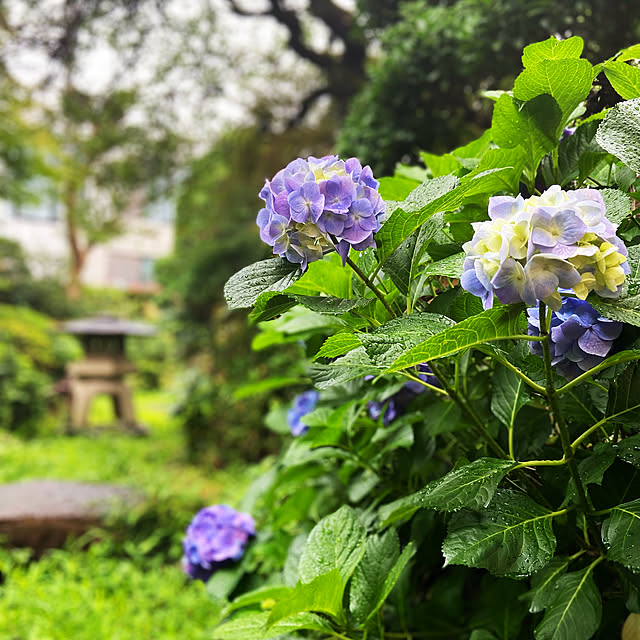NOIRさんの実例写真