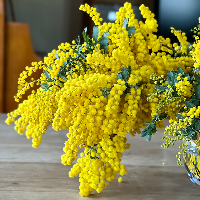 Kikko.さんの部屋