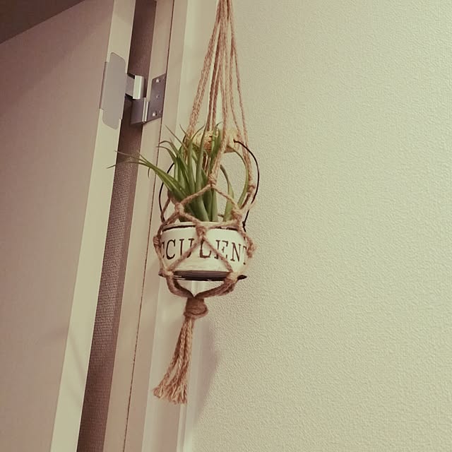roinyさんの実例写真