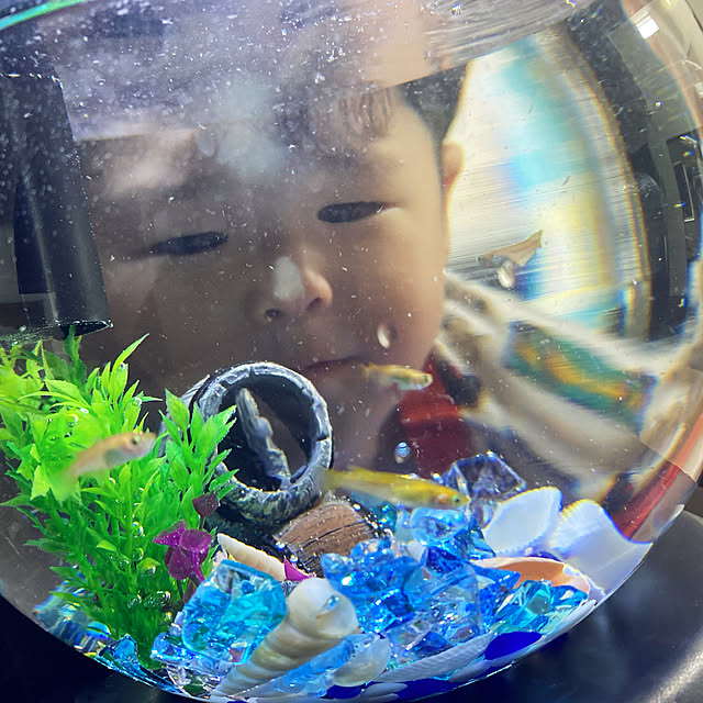 実例写真
