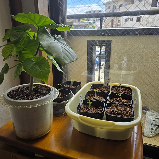 mitsuyama3136さんの実例写真