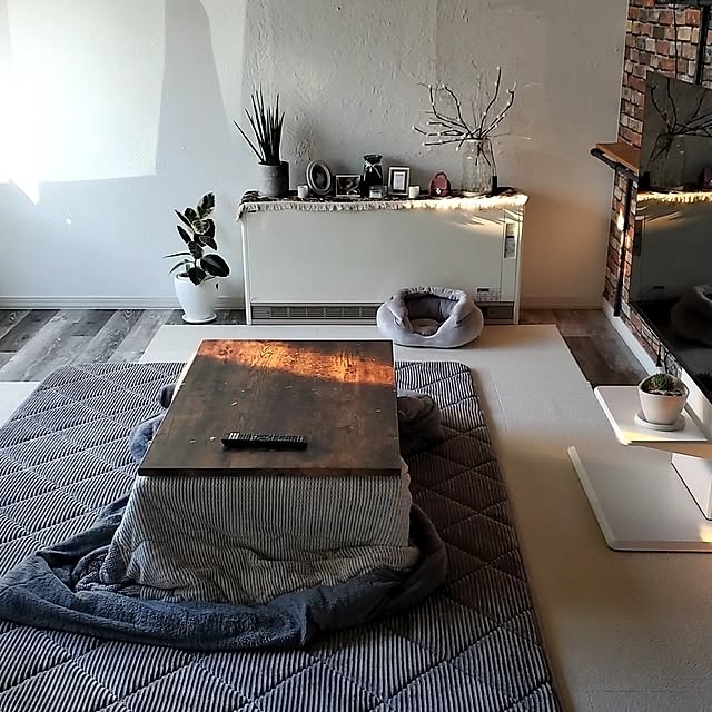 bibimarukoさんの部屋