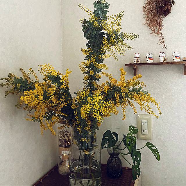 birdie0908さんの実例写真