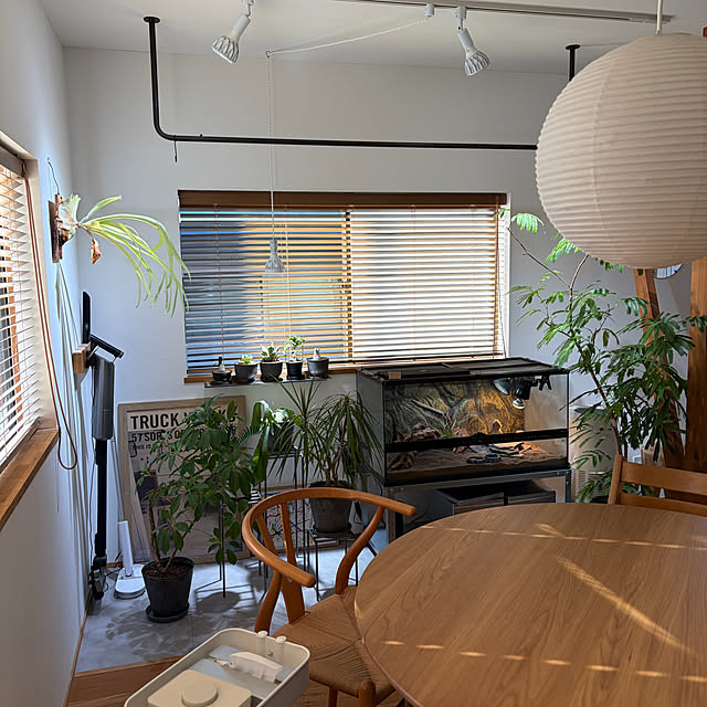 shirokumaさんの部屋