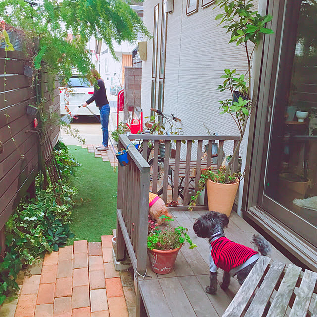 risaさんの実例写真