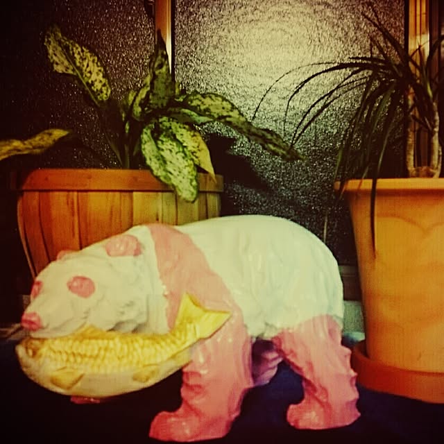CHIKA1000さんの実例写真