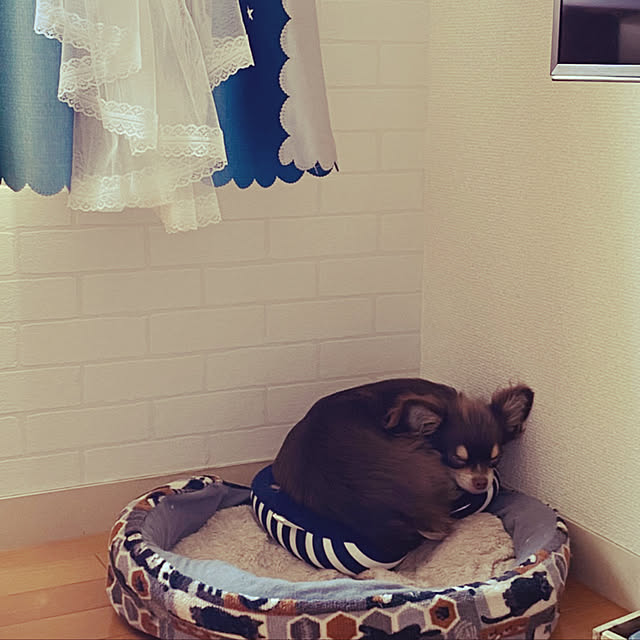 mofuchiさんの実例写真
