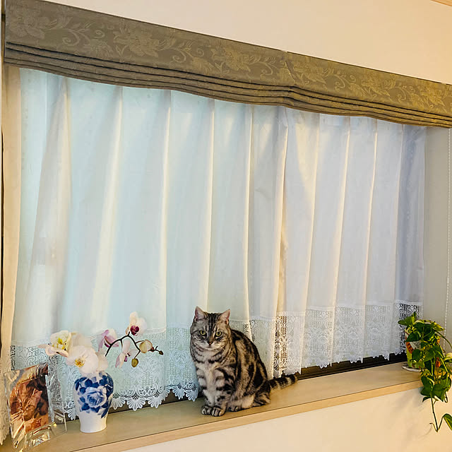 c-naさんの実例写真