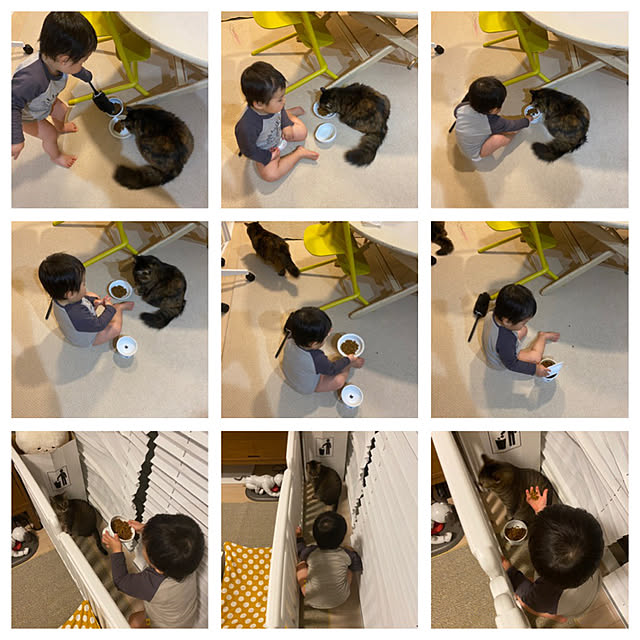 mikomaruさんの実例写真