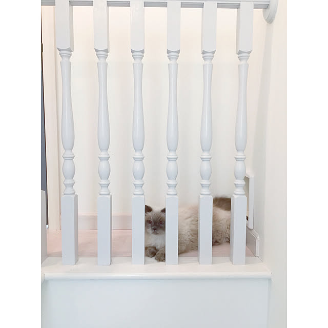 yuchiさんの実例写真
