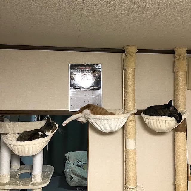 mori_6_12さんの部屋