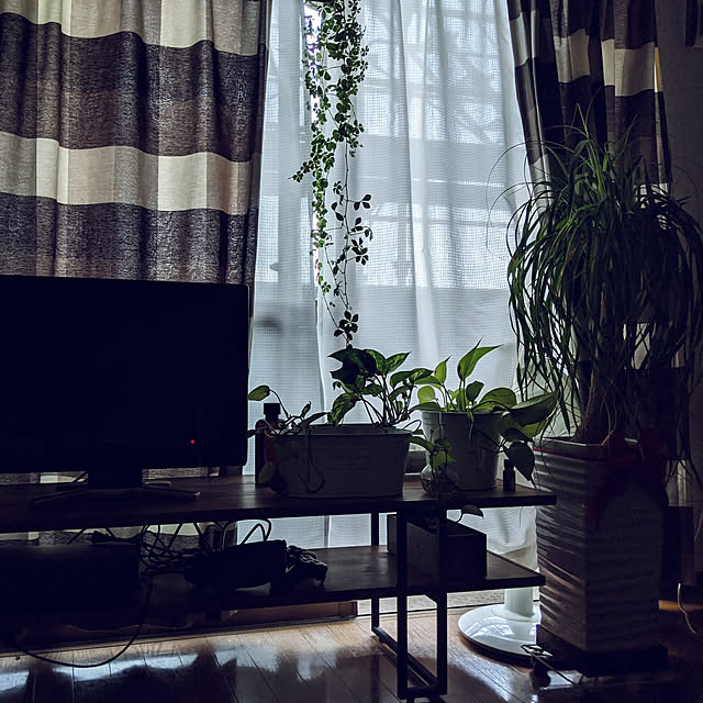 yutarinkoさんの実例写真