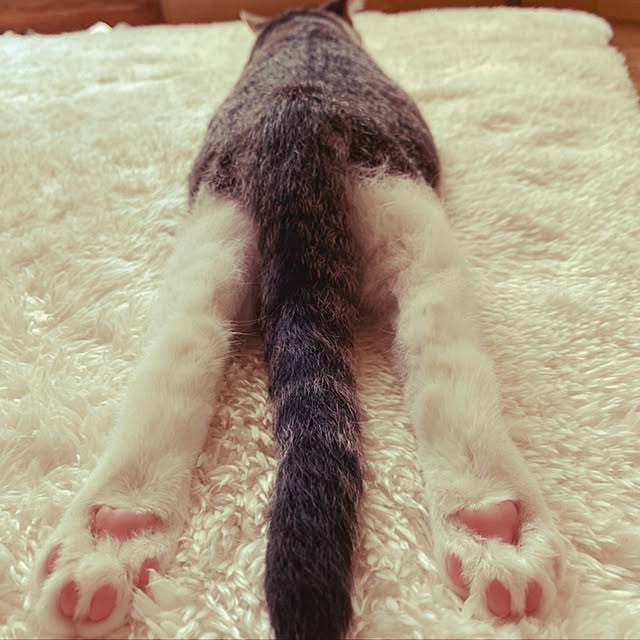 rioさんの実例写真