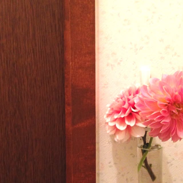 kanariaさんの実例写真