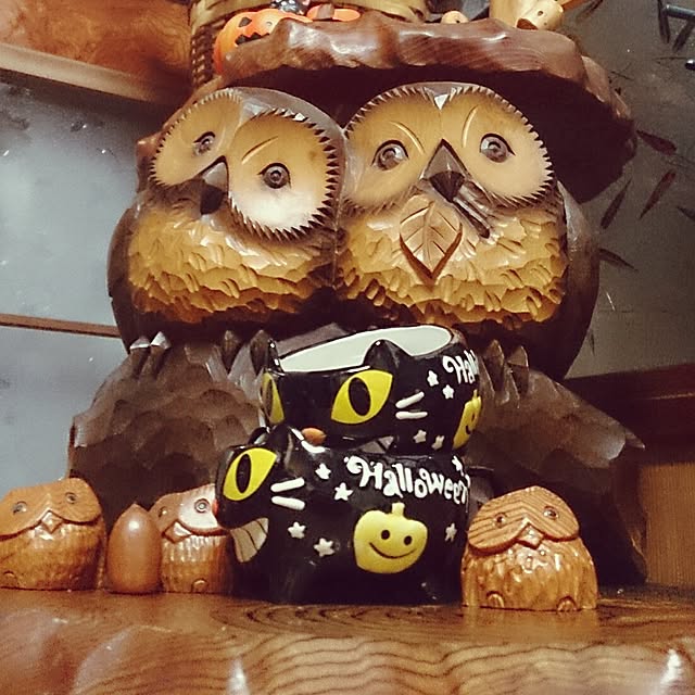 kikuさんの実例写真