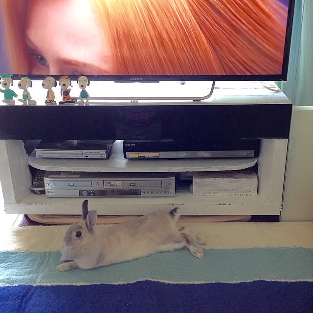 yokomokoさんの実例写真