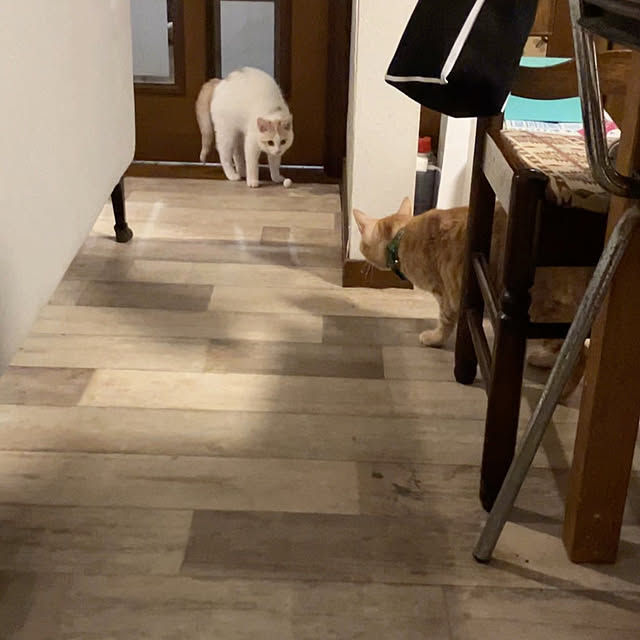 tomorinさんの部屋
