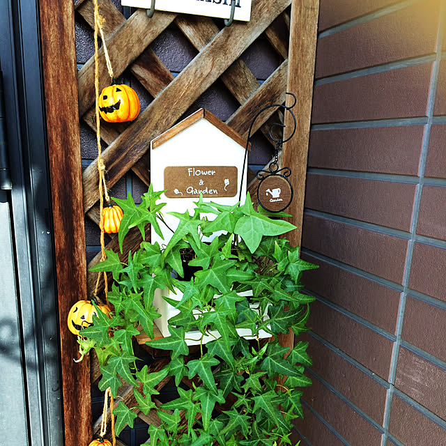 akeさんの実例写真