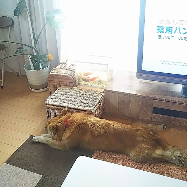 kaoriさんの実例写真
