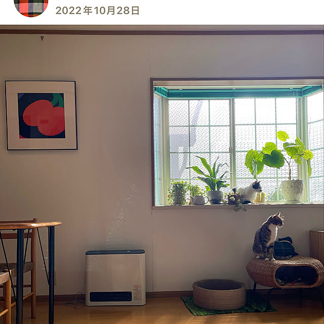 nobikoさんの部屋
