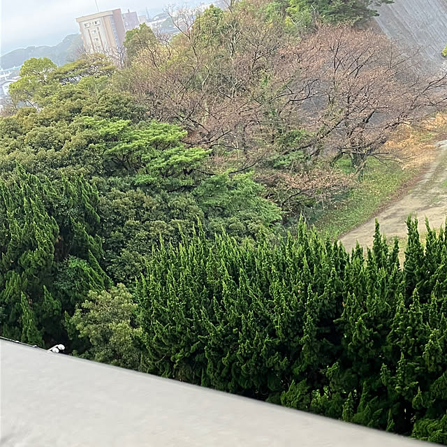 koshiregutyoさんの実例写真