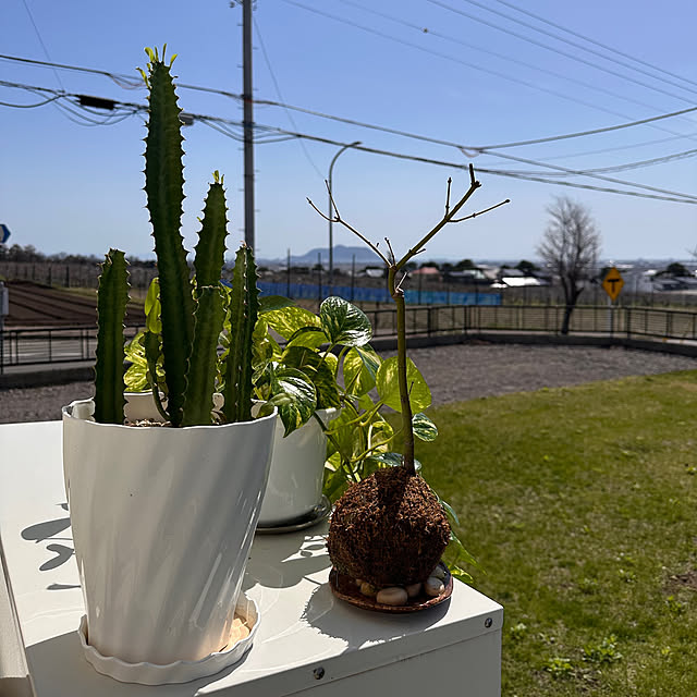 hanahana1444さんの実例写真