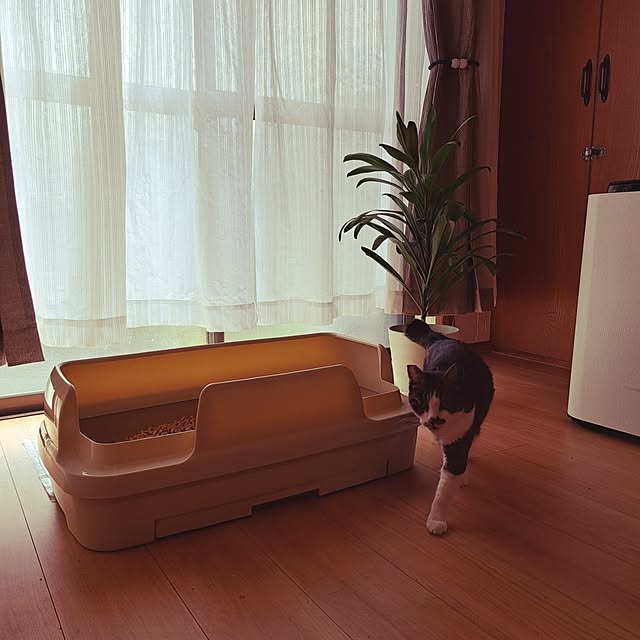 kiyohima229さんの実例写真