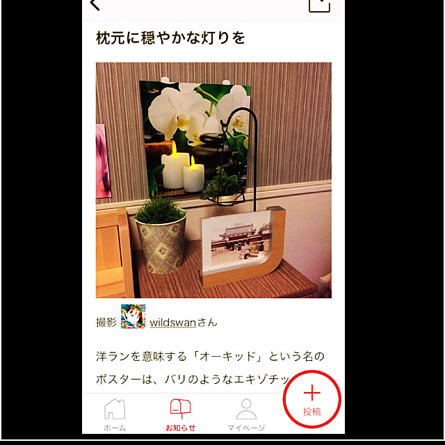 wildswanさんの実例写真