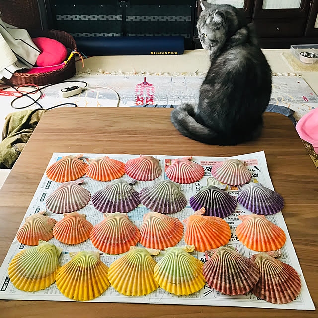 Marinさんの実例写真