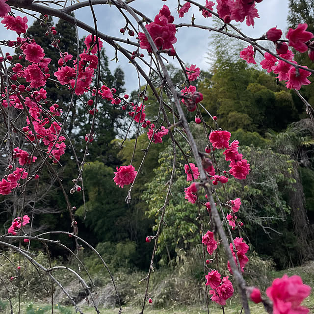 natsumiさんの部屋