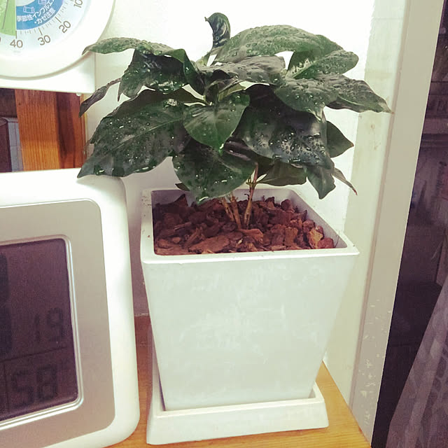 jiro19さんの実例写真
