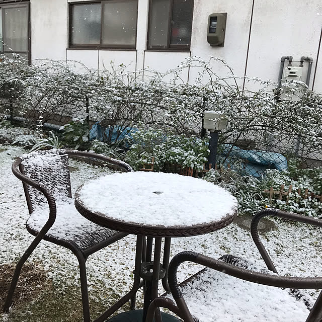 daikichiさんの実例写真