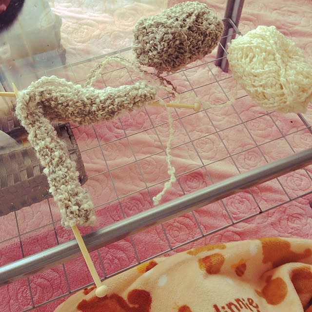 aiさんの実例写真