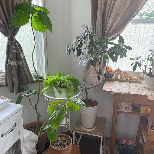 AcchanSaysさんの部屋