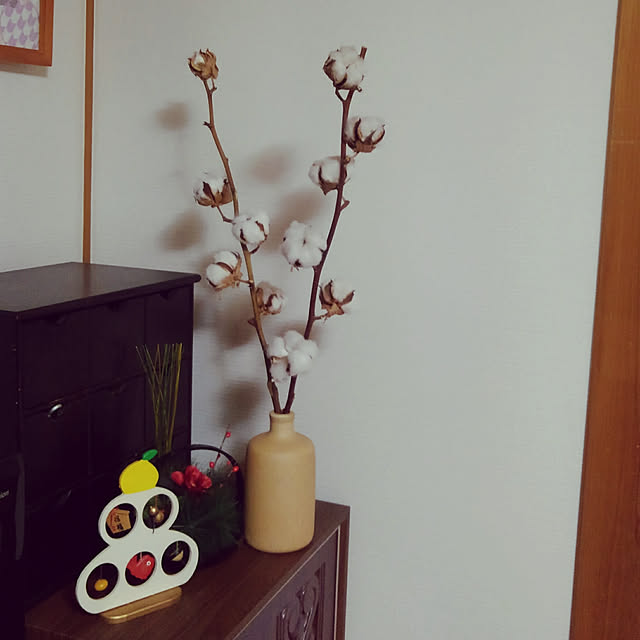 Renさんの実例写真