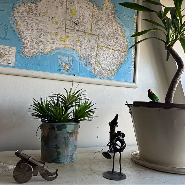 chaaliiさんの実例写真