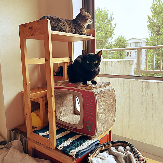suemonta14さんの部屋