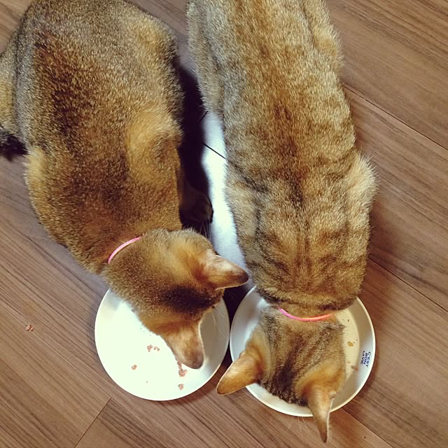 1633さんの実例写真