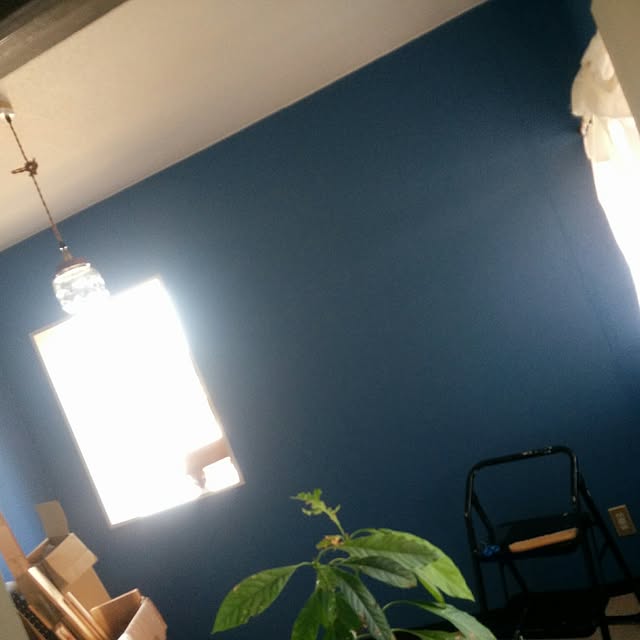 nocolorさんの実例写真