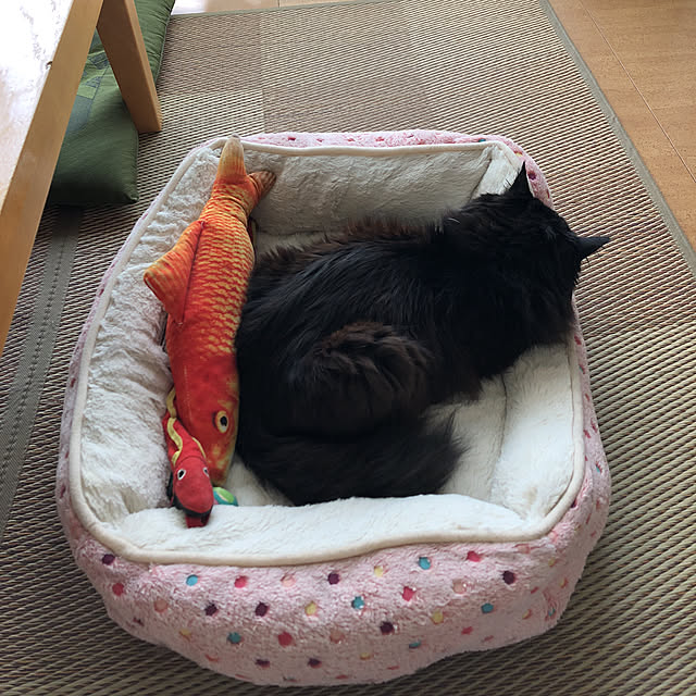 kanaさんの実例写真