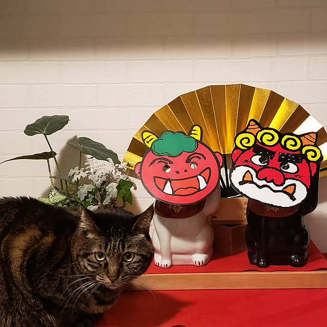 Mayumi8888さんの実例写真