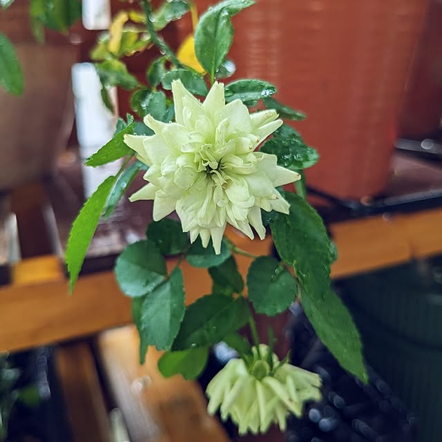 kazuさんの部屋