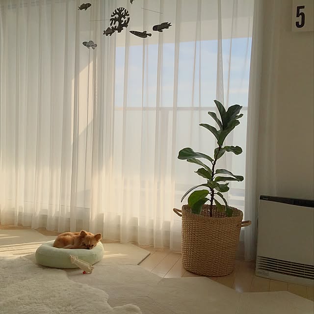 haruhinaさんの実例写真